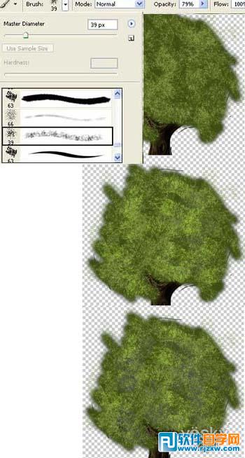 9,选择树叶效果的笔刷描绘树冠,制造丰富的树叶纹理效果.