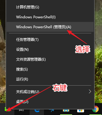 win11ô죿win11˽