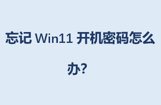 ����Win11����������ô�죿