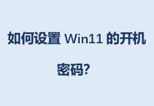 �������Win11�Ŀ������룿