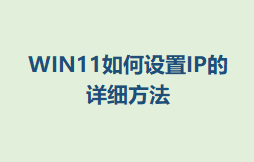 WIN11IPϸ