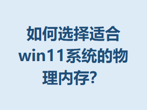 ���ѡ���ʺ�win11ϵͳ�������ڴ棿