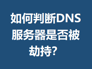 ����ж�DNS�������Ƿ񱻽ٳ֣�