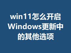 win11��ô����Windows�����е�����ѡ��