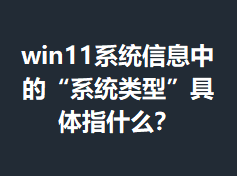 win11ϵͳ��Ϣ�еġ�ϵͳ���͡�����ָʲô��