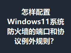 ��������Windows11ϵͳ����ǽ�Ķ˿ں�Э���������