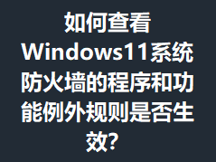 ��β鿴Windows11ϵͳ����ǽ�ĳ���͹�����������Ƿ���Ч��