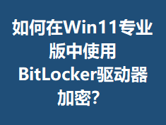 �����Win11רҵ����ʹ��BitLocker���������ܣ�