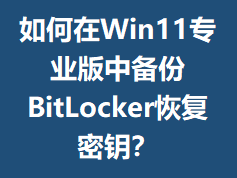 �����Win11רҵ���б���BitLocker�ָ���Կ��