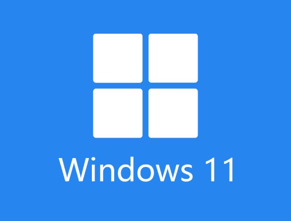 Win11 �ڴ�ռ�ø������Ų鷽�����Ӽ򵥵����ף��� PowerShell ���