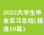2022大学生毕业实习总结(精选10篇)