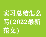 ʵϰܽôд(2022·)