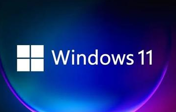 win11businessconsumer汾ʲô-1