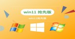 win11ѡ�ĸ��汾��װ�Ƽ�����