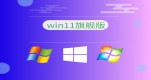 win11��װѡ���ĸ��汾����