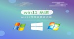 ����ʹ��װwin11�ĸ��汾����