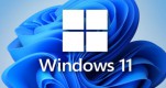 win11רҵ�����ü�����Կ����