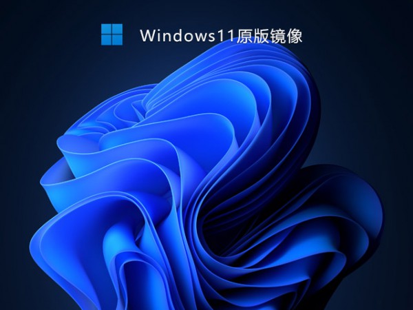 Win11ϵͳºܶԴûôָ