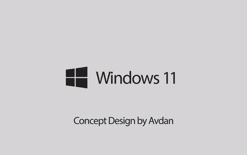 win11_ѧ