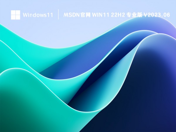 win11רҵʲôͬĵطwin11ѡ滹רҵ棿