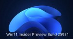 Win11 Insider Preview Build 25931DC λ㷨Ľ