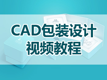 CAD包装设计视频教程