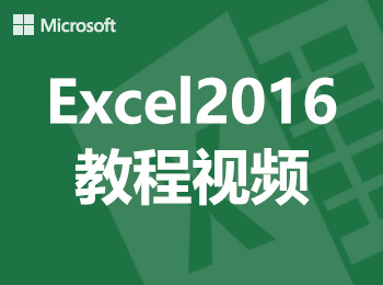 Excel2016教程视频_软件自学网