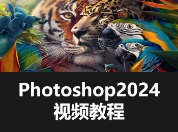 Photoshop2024Ƶ̳