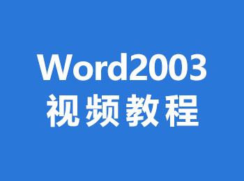 Word2003视频教程_软件自学网