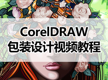 CorelDRAWװƵ̳_ѧ