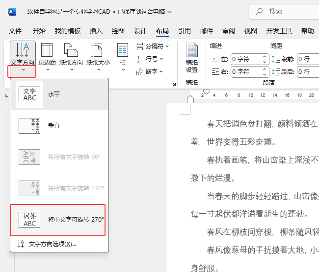 Word2024ĵеת270ȵϸ