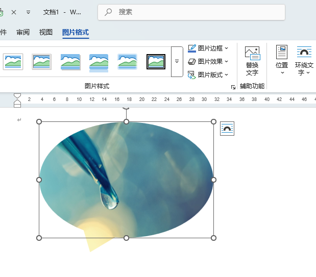 word2024ͼƬüԲζԻСЧ