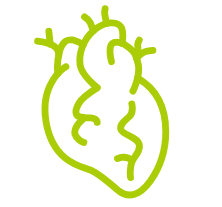 CDR2024����һ������ͼ���ķ���