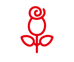 CDR2024����һ��õ�廨��ʻ�ͼ��