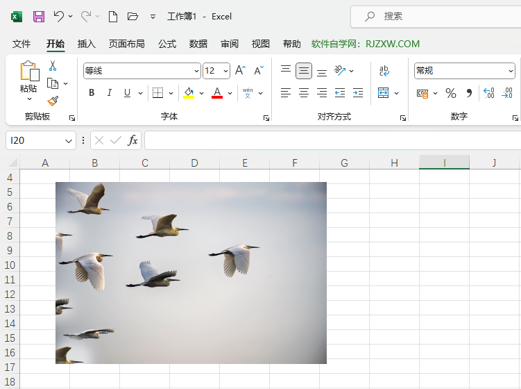 Excel2021βһȺͼƬ5