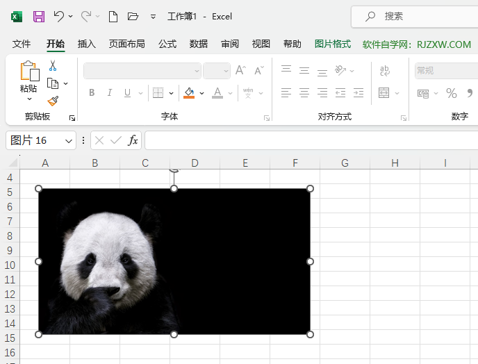 Excel2021βһèͼƬ5