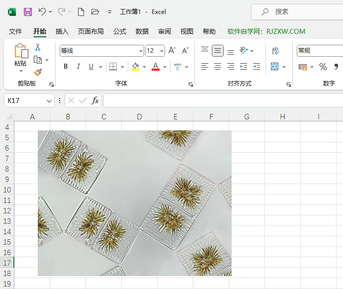 Excel2021βһϸͼƬ5