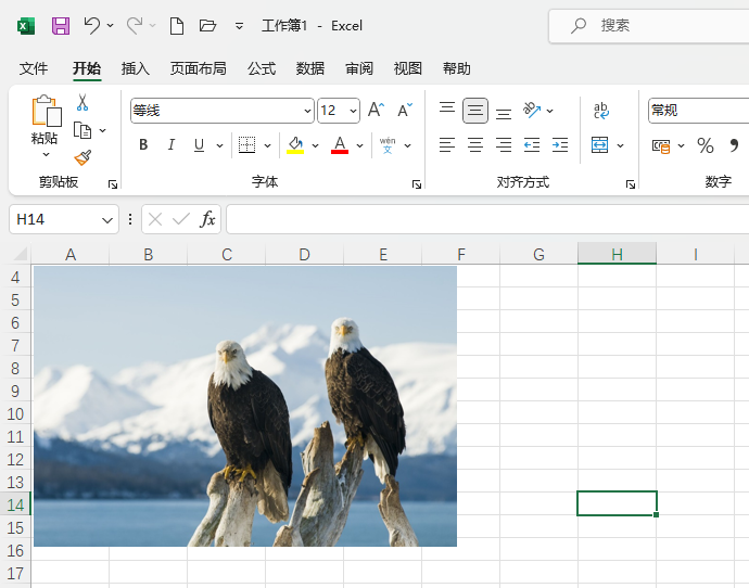 Excel2021ôһֻӥͼƬ5