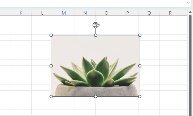 EXCEL2024üͼƬκβҪ