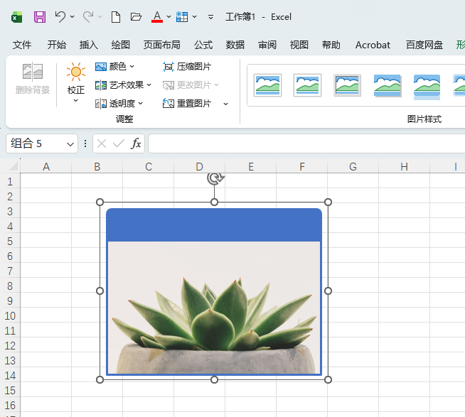 EXCEL2024ͼƬ״ϵϸ